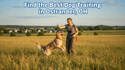 Dog Training In Ostrander Oh Find The Best