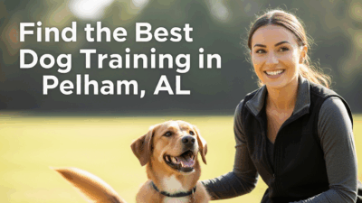 Dog Training In Pelham Al Find The Best