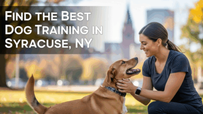 Dog Training In Syracuse Ny Find The Best