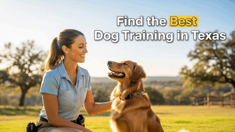 Dog Training In Texas