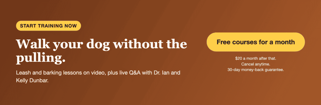 First month free. Walk your dog without the pulling. Leash and barking lessons on video, plus live Q&A with Dr. Ian and Kelly Dunbar. $20 a month after that.