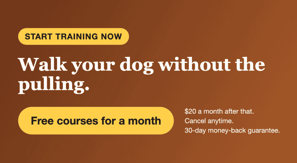 First month free. Walk your dog without the pulling. Leash and barking lessons on video, plus live Q&A with Dr. Ian and Kelly Dunbar. $20 a month after that.