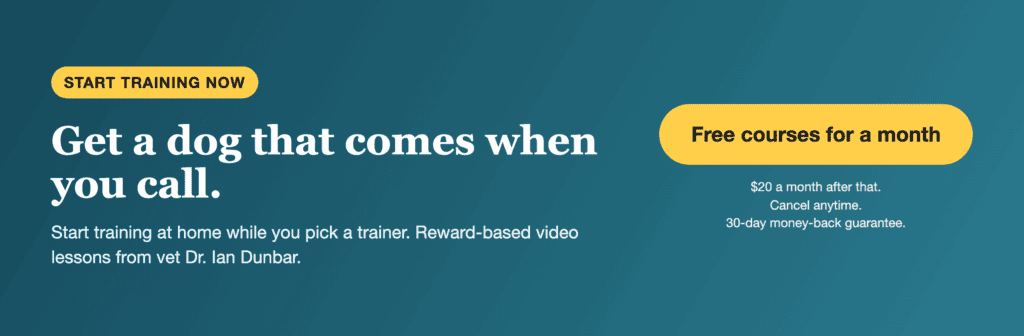 First month free. Get a dog that comes when you call with reward-based video lessons from vet Dr. Ian Dunbar. $20 a month after that.