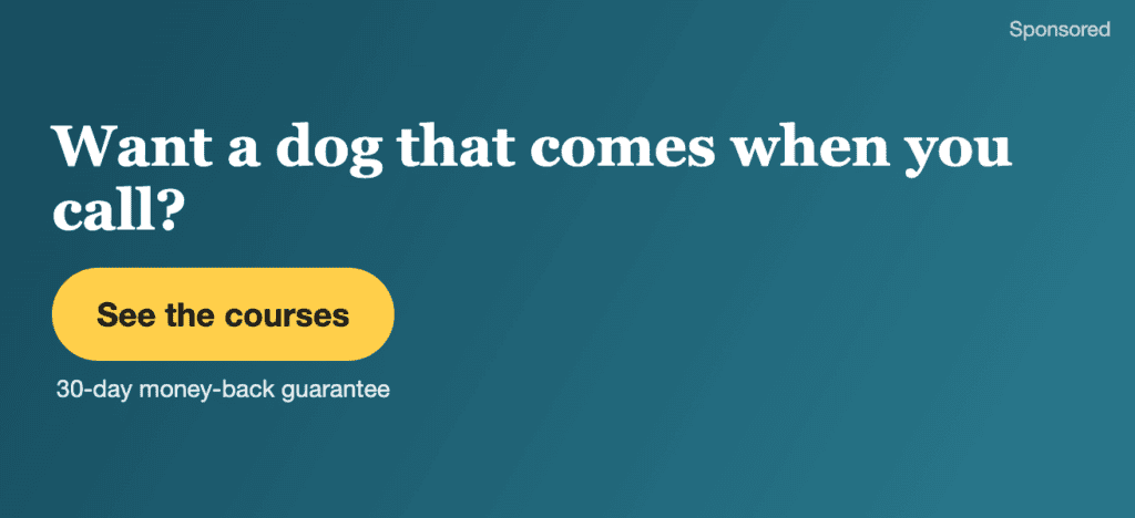 Want a dog that comes when you call? Dr. Ian Dunbar's reward-based video courses. First month free, then $20 a month.