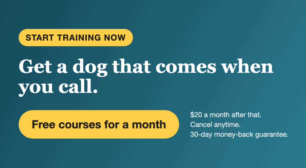 First month free. Get a dog that comes when you call with reward-based video lessons from vet Dr. Ian Dunbar. $20 a month after that.