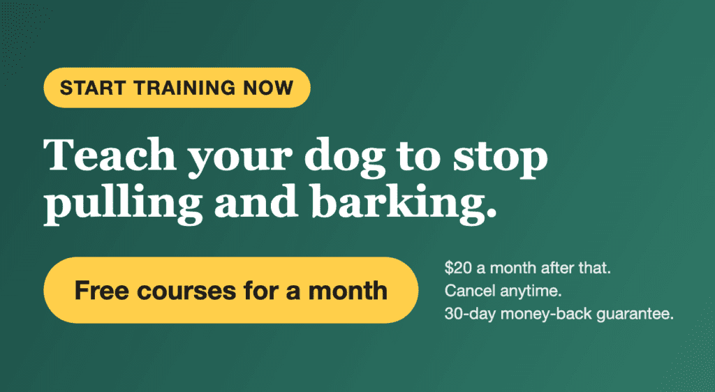 First month free. Teach your dog to stop pulling and barking with video lessons from vet Dr. Ian Dunbar. $20 a month after that. 30-day money-back guarantee.