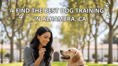find the best Dog Training in Alhambra, CA