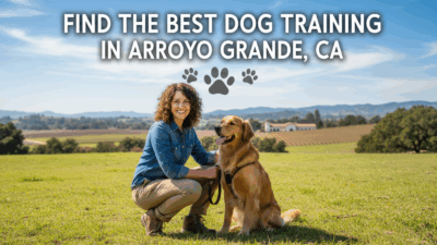 find the best Dog Training in Arroyo Grande, CA
