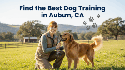 find the best Dog Training in Auburn, CA