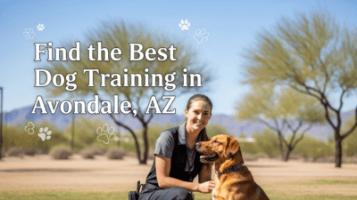 find the best Dog Training in Avondale, AZ