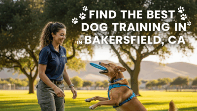 find the best Dog Training in Bakersfield, CA