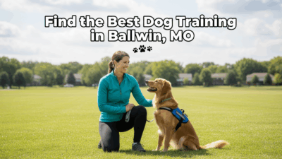 find the best Dog Training in Ballwin, MO