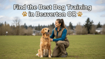 find the best Dog Training in Beaverton OR