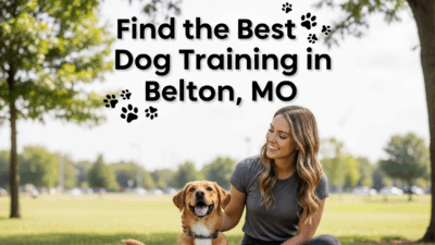 find the best Dog Training in Belton, MO