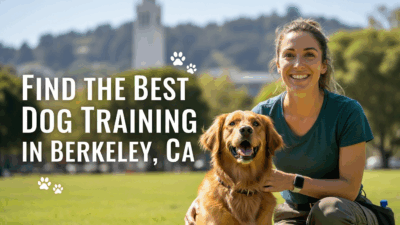 find the best Dog Training in Berkeley, CA