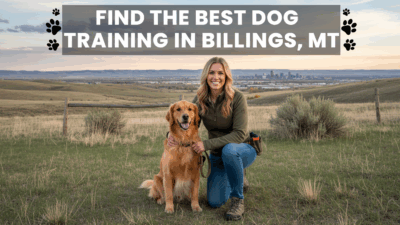 find the best Dog Training in Billings, MT
