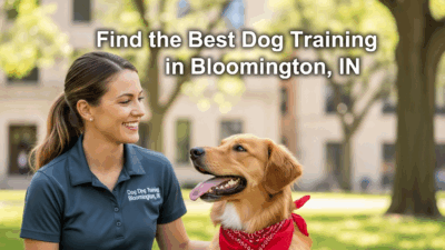 find the best dog training in Bloomington IN