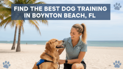 find the best Dog Training in Boynton Beach, FL