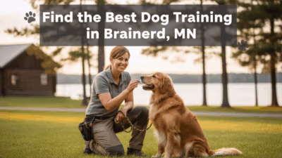 find the best Dog Training in Brainerd, MN