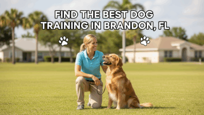 find the best Dog Training in Brandon, FL