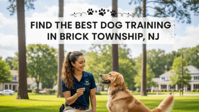find the best Dog Training in Brick Township, NJ