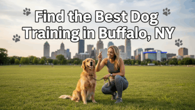 find the best dog training in Buffalo NY