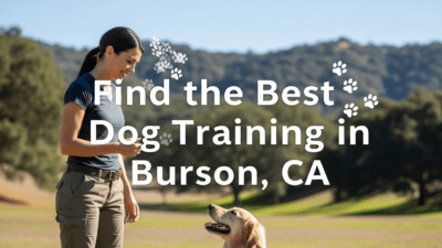 find the best Dog Training in Burson, CA