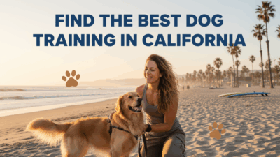 find the best Dog Training in California
