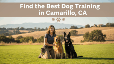 find the best Dog Training in Camarillo, CA