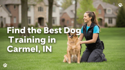 find the best Dog Training in Carmel, IN