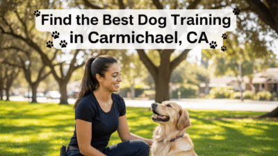 find the best Dog Training in Carmichael, CA
