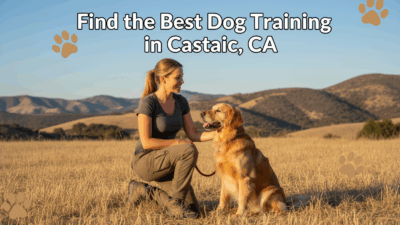 find the best Dog Training in Castaic, CA
