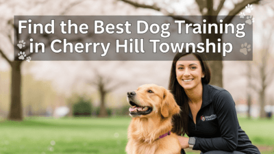 find the best Dog Training in Cherry Hill Township