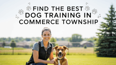 find the best Dog Training in Commerce Township