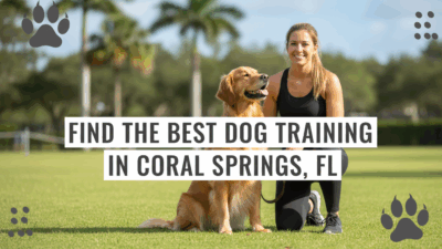 find the best Dog Training in Coral Springs, FL