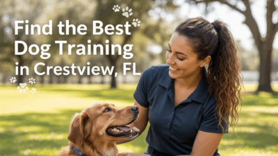 find the best Dog Training in Crestview, FL