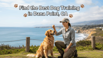 find the best Dog Training in Dana Point, CA