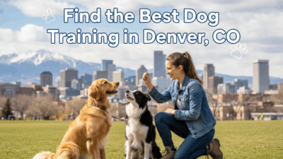 find the best Dog Training in Denver, CO