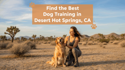 find the best Dog Training in Desert Hot Springs, CA