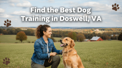find the best Dog Training in Doswell, VA