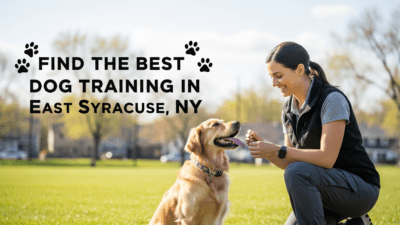 find the best Dog Training in East Syracuse, NY