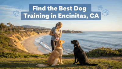 find the best Dog Training in Encinitas, CA