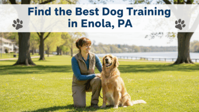 find the best Dog Training in Enola, PA
