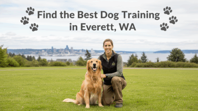 find the best Dog Training in Everett, WA