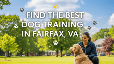find the best Dog Training in Fairfax, VA