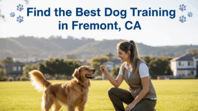 find the best Dog Training in Fremont, CA