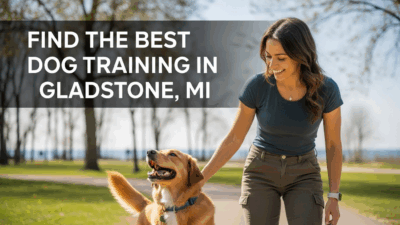 find the best dog training in Gladstone MI