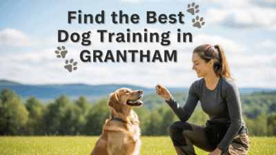 find the best Dog Training in Grantham