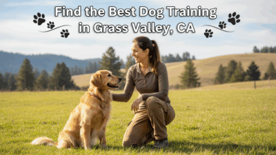 find the best Dog Training in Grass Valley, CA