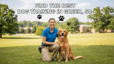 find the best Dog Training in Greer, SC
